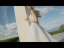 youtube - [Video]