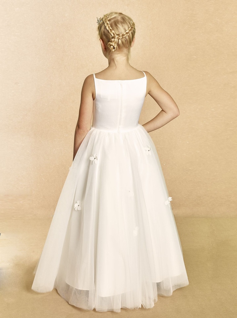 91954 (2).webp