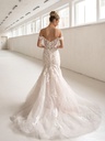 30911back-.webp