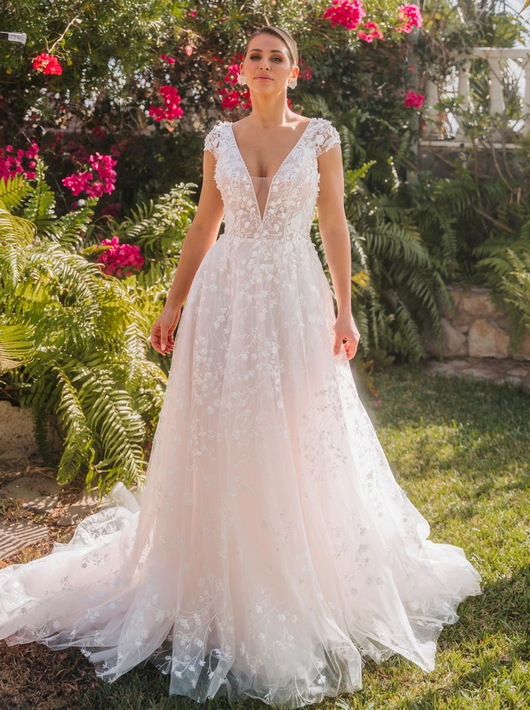 Lisa Donetti 2622 (30, IV/CHAMP)