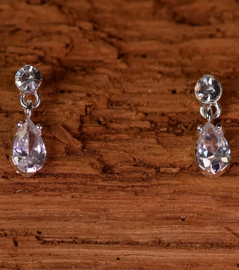 Earrings 66606