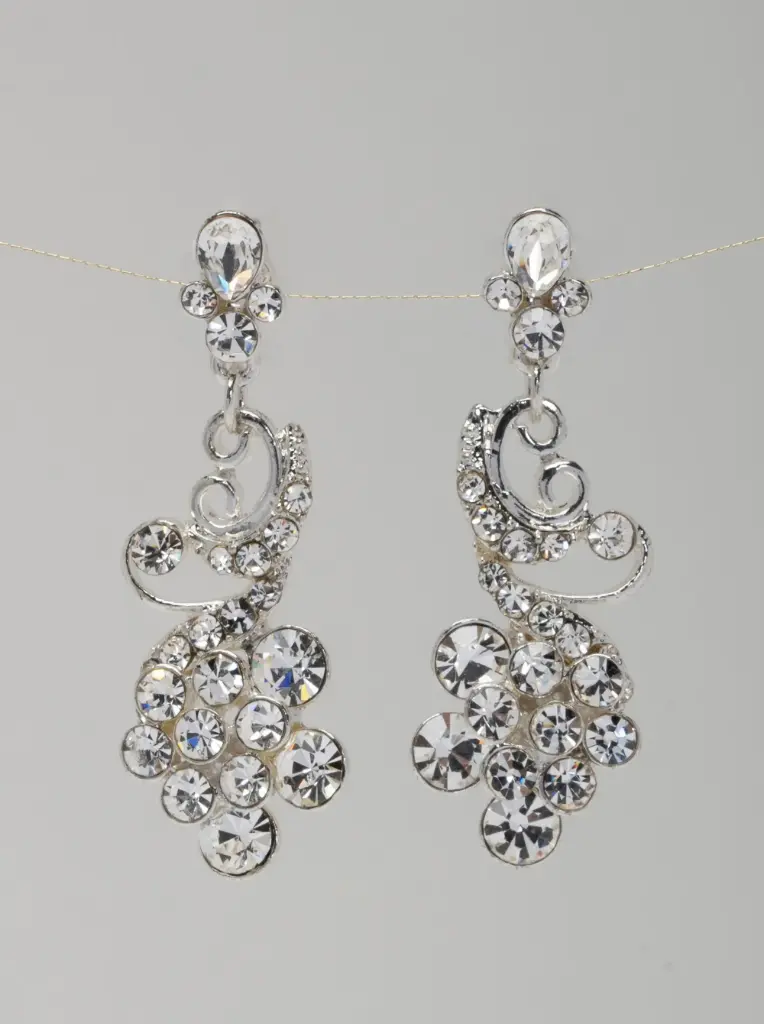 Earrings 66630