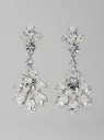Earrings 66635