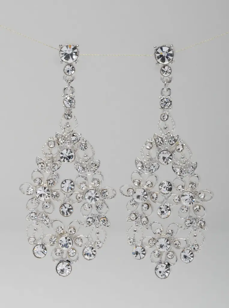 Earrings 66636
