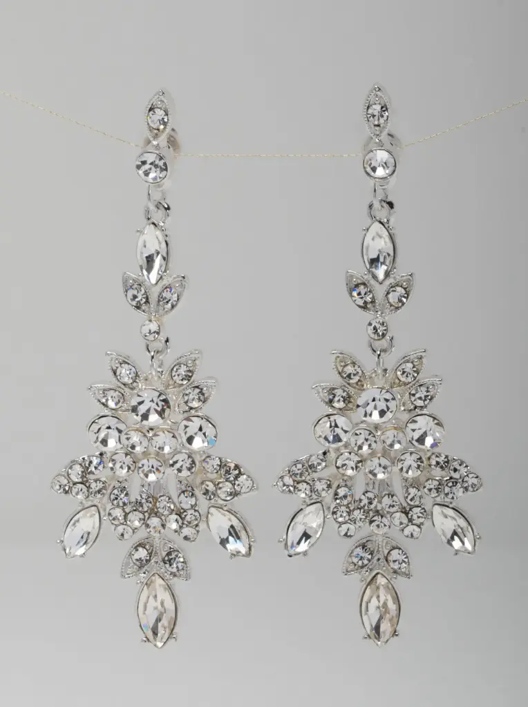 Earrings 66650