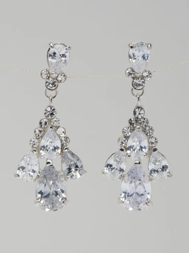 Earrings 66654