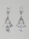 Earrings 66654