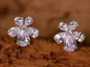 Earrings 66655 Clips