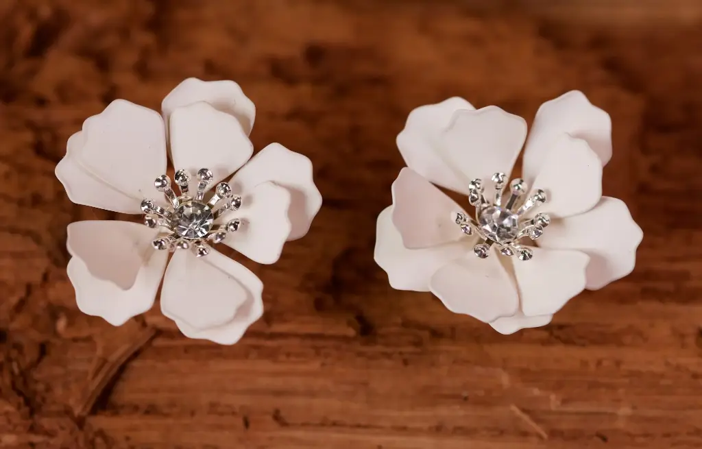 Earrings 66676
