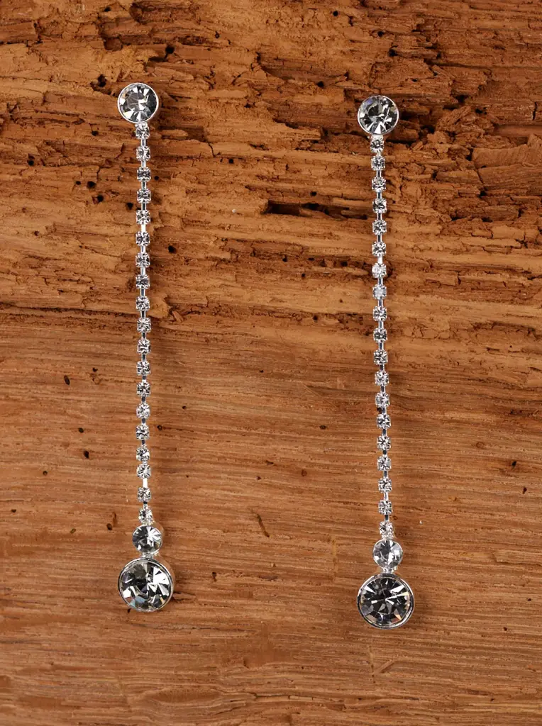 Earrings 66685