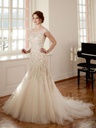Romance 6117